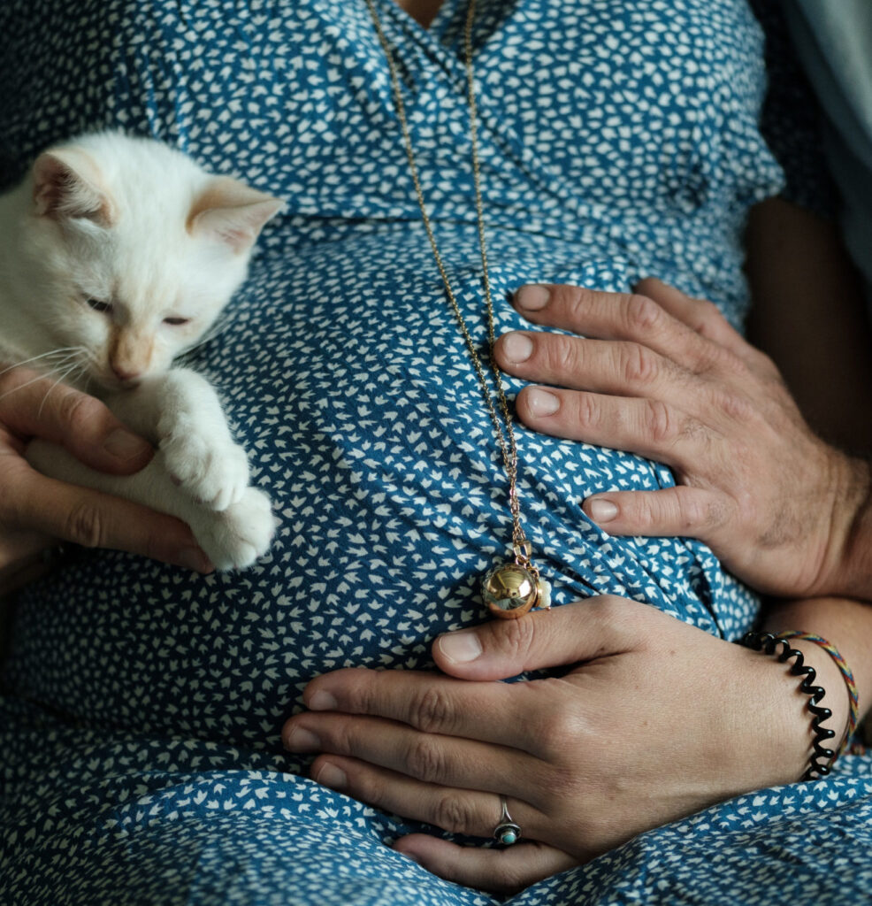 Le ventre d'une femme enceinte avec la main de son mari et également les pattes d'un petit chat blanc symbolisant le foyer